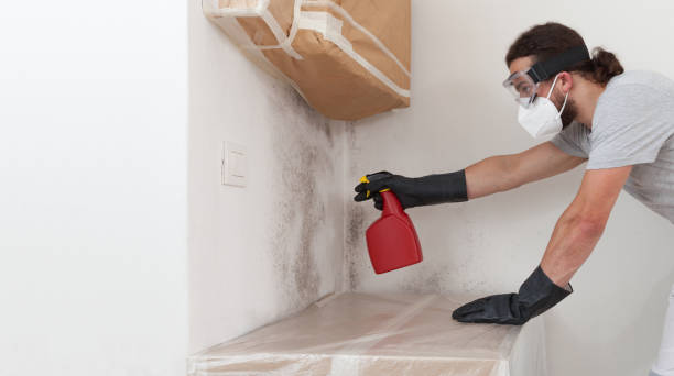 Professional Bathroom Mold Removal technician working in Osseo, MN