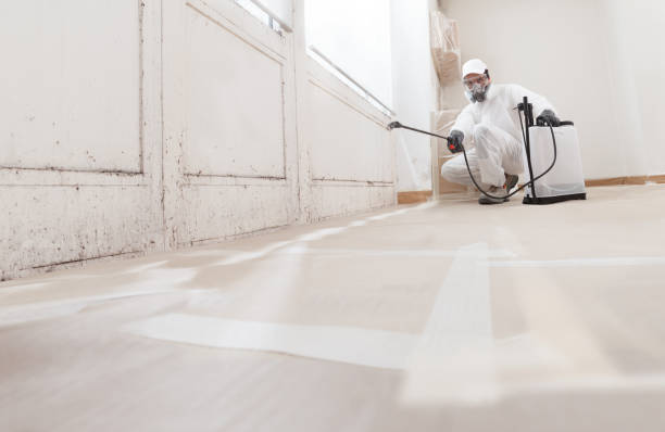 24/7 Emergency Bathroom Mold Removal experts in Osseo, MN
